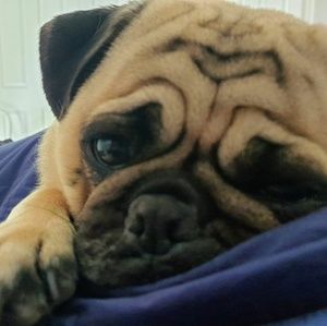 Meet your Posher, Marnie